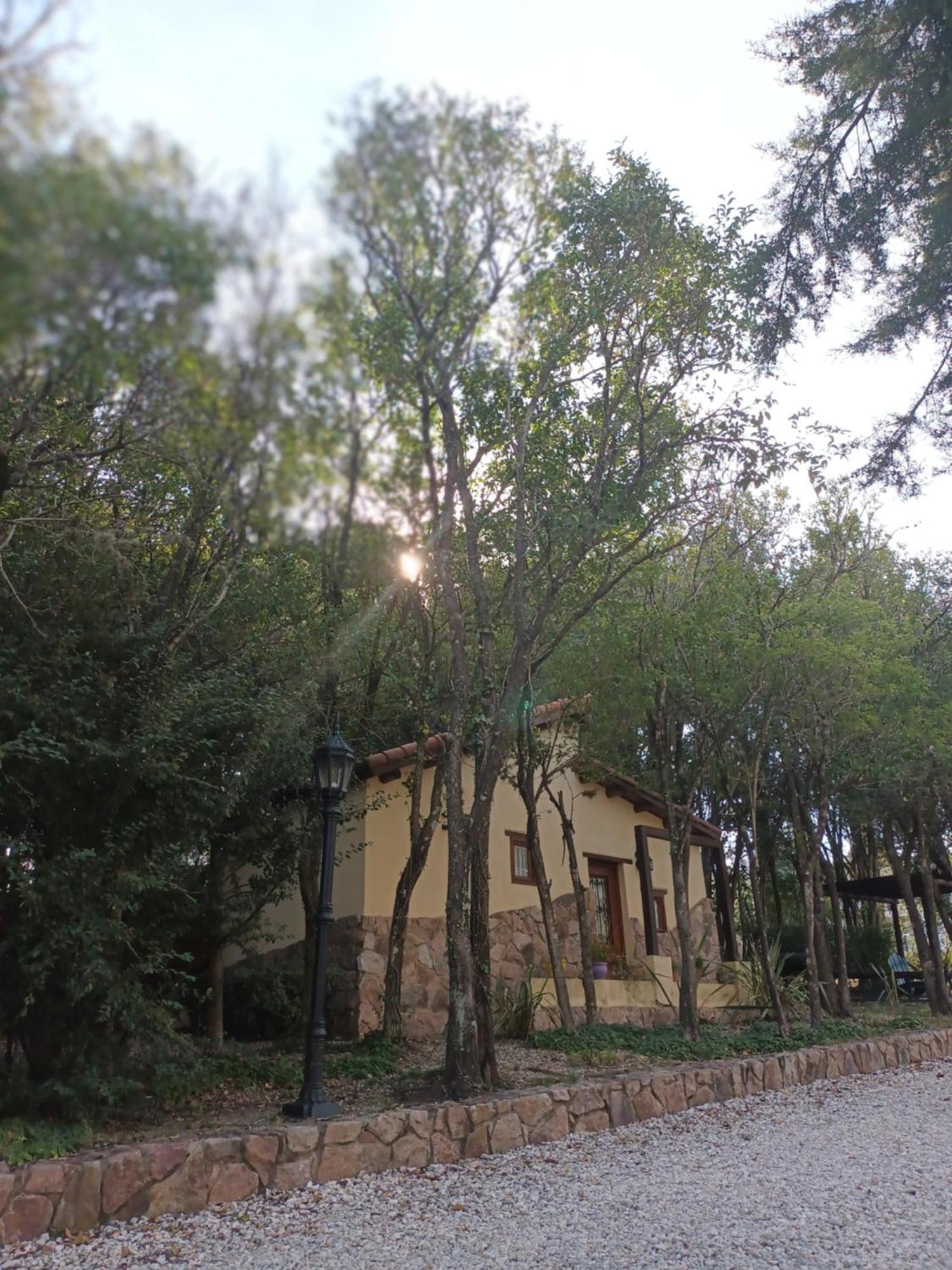 לה פאלדה Cabanas El Mirador חדר תמונה
